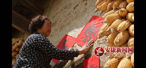 �h�΢�Ӱ���P��֮�١��װl(f��) �v�������¸�����