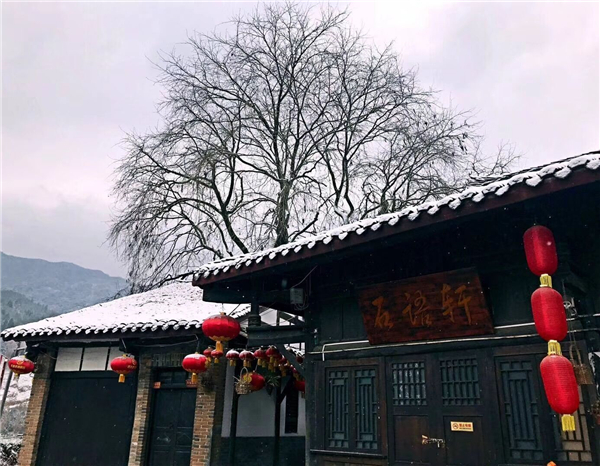 ������ѩ��  ��(l��i)�@���ѩ��