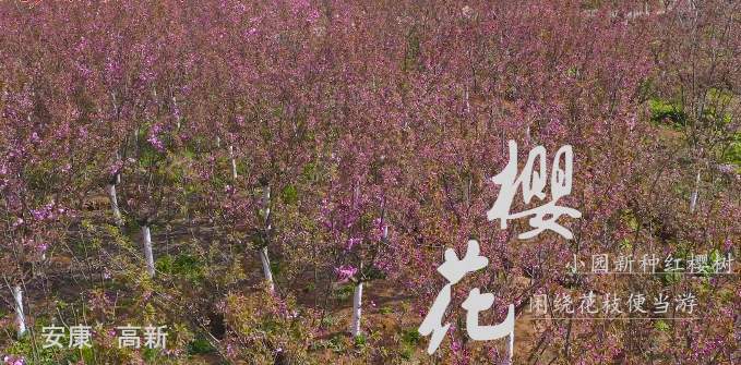 ���������p����