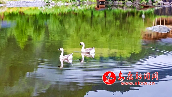 �G�������Ԋ�箋