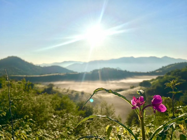 ��ꖲݵ��L����