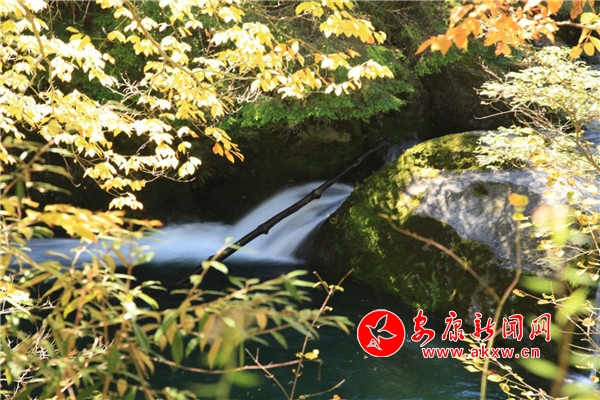 ǧ�Ӻ��p�t�~