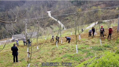 �h�I���@�^(q��)����������