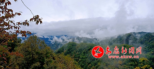 �G�������ɫ�ߔ�