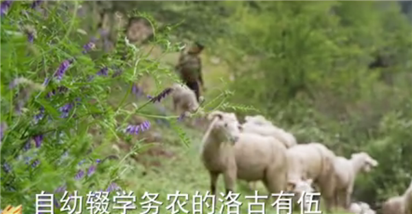 全國(guó)“脫貧攻堅(jiān)”優(yōu)秀紀(jì)錄片展播|紀(jì)錄片《攻堅(jiān)日記》:洛古有伍的心結(jié)5