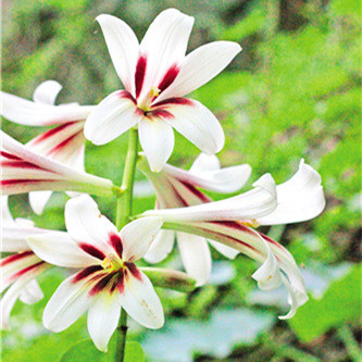 һ֧�\�C��ˮ�㡪����ٺ�