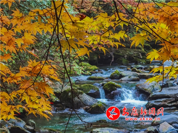 ����ǧ�Ӻ��ﾰ���箋