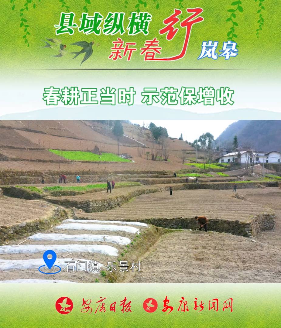 ��������(d��ng)�r(sh��) ʾ��������