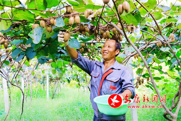 �𡰫J�����u���^�����(zh��n)�J����ϲ�@�S��