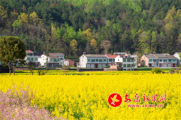 �Ͳ˻���������