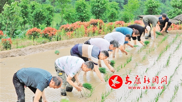 ��ץ�r(n��ng)�r(sh��)����æ