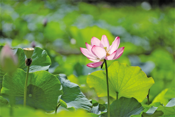 �������