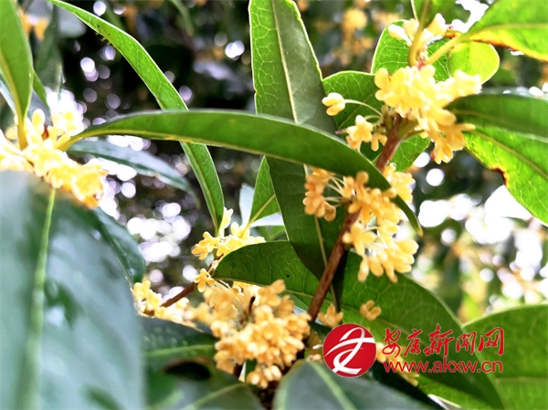 �M�ǹ��� ��������r