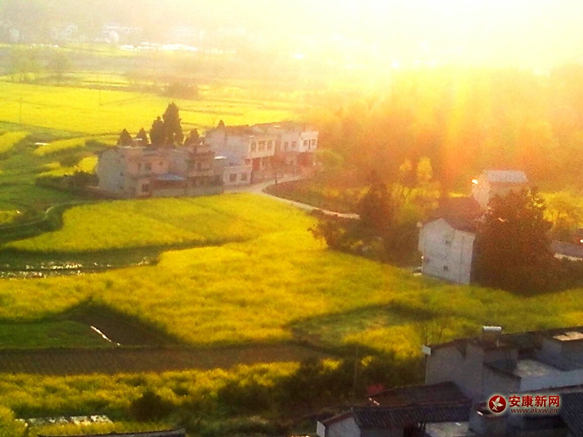 ���l(xi��ng)��