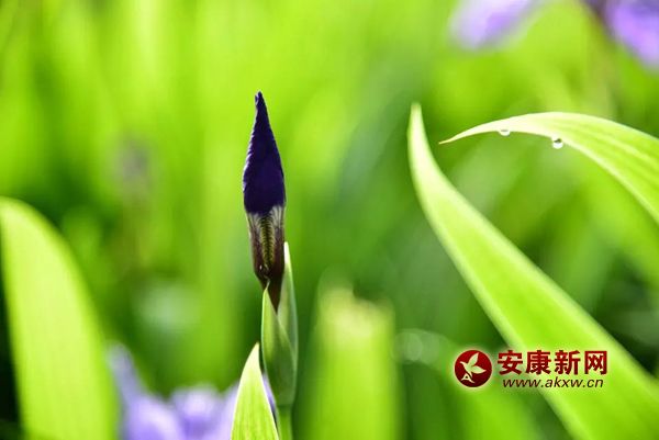 ��(hu��)�P