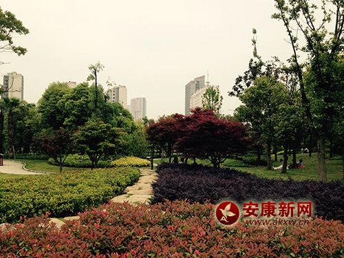 ���C(j��)����