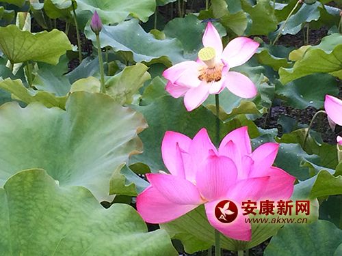 ���~����