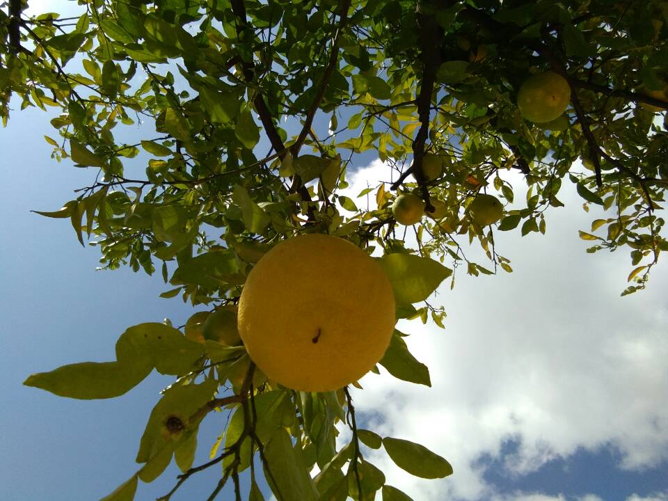 ���^ ����