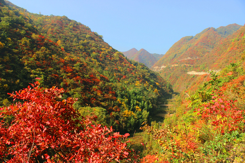 ����׌üt�~��(ji��)������