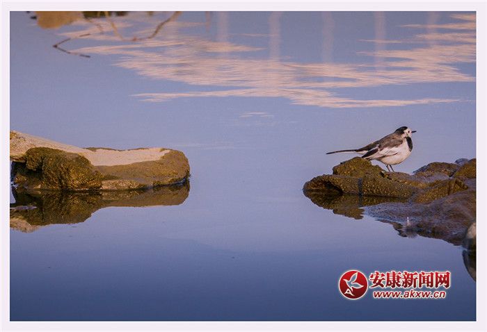 ��ˮ��һɫ���zӰ��Ƥ�¾S���f��������Ƭ��2017��12��3�������ʡ�����Нh�����Ĕz����չ�F(xi��n)�����õ����B(t��i)�h(hu��n)����(li��n)ϵ�Ԓ��